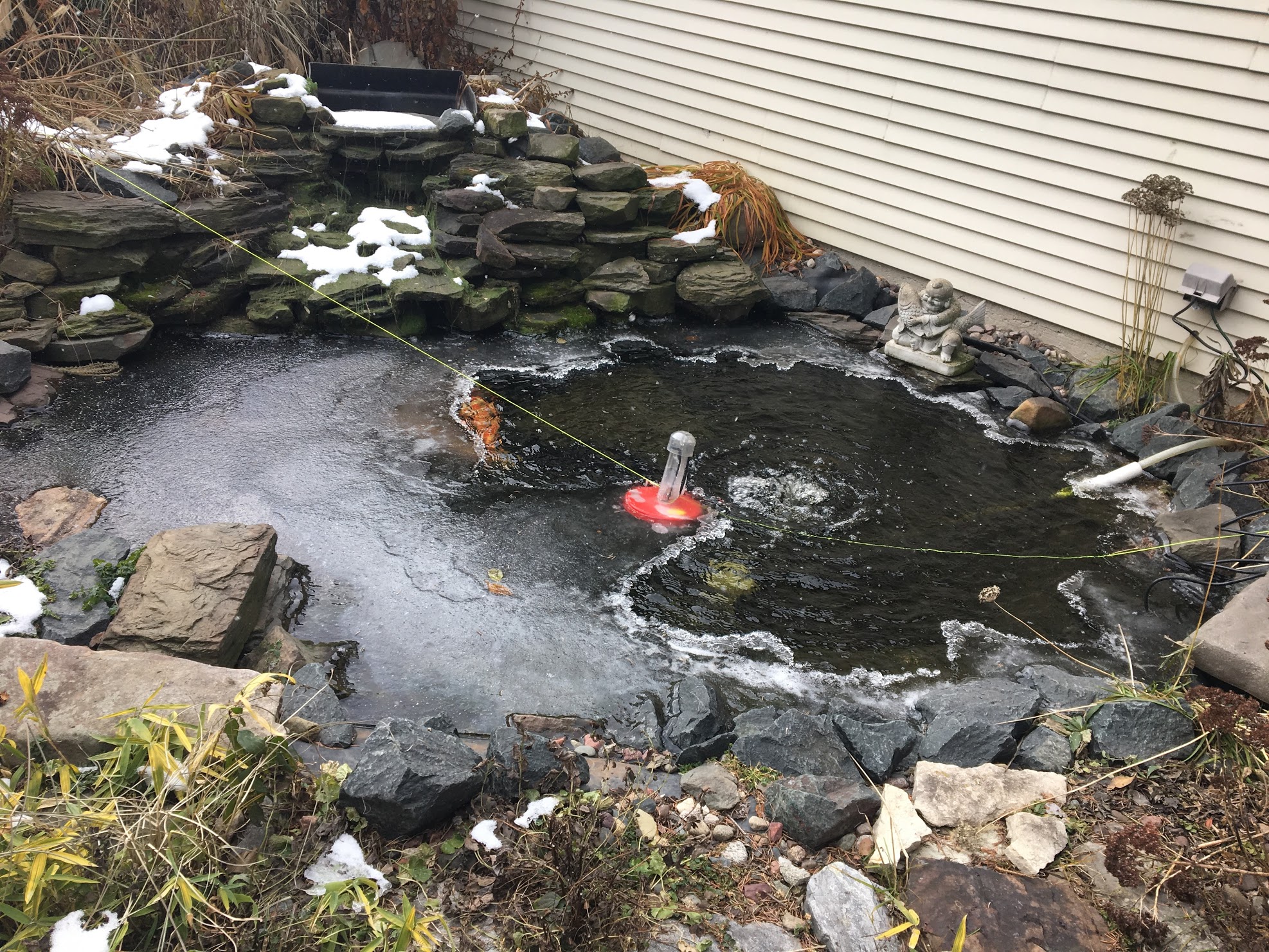 pond with koi at winter