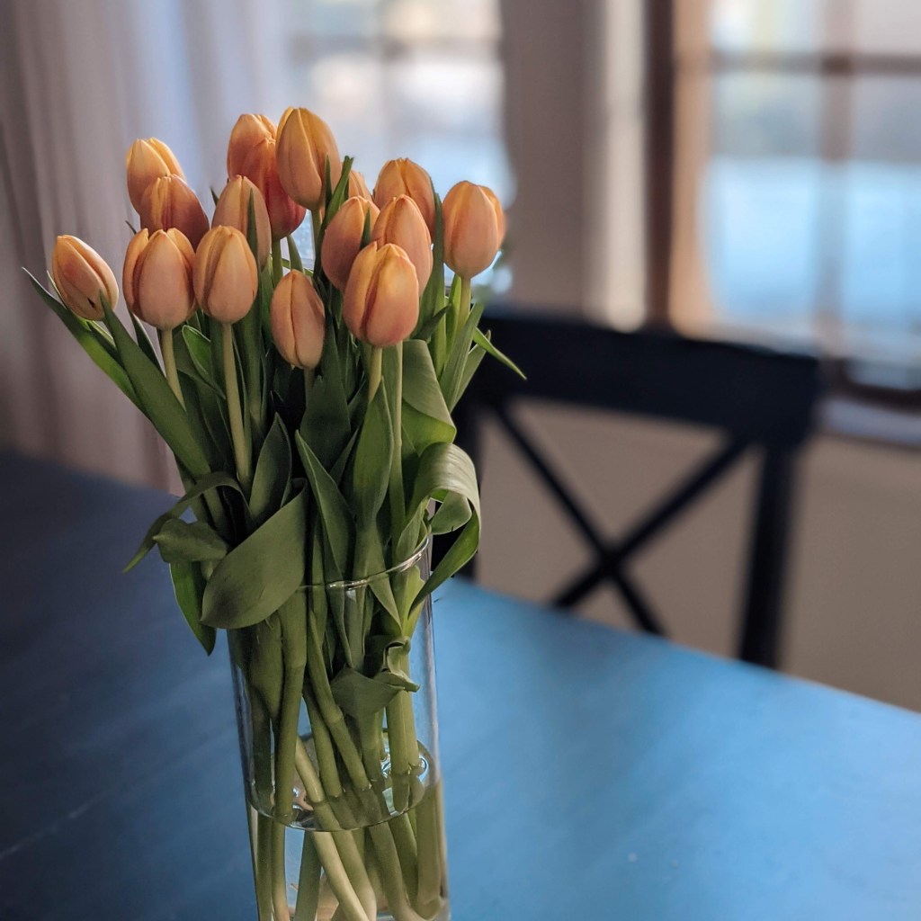 tulips