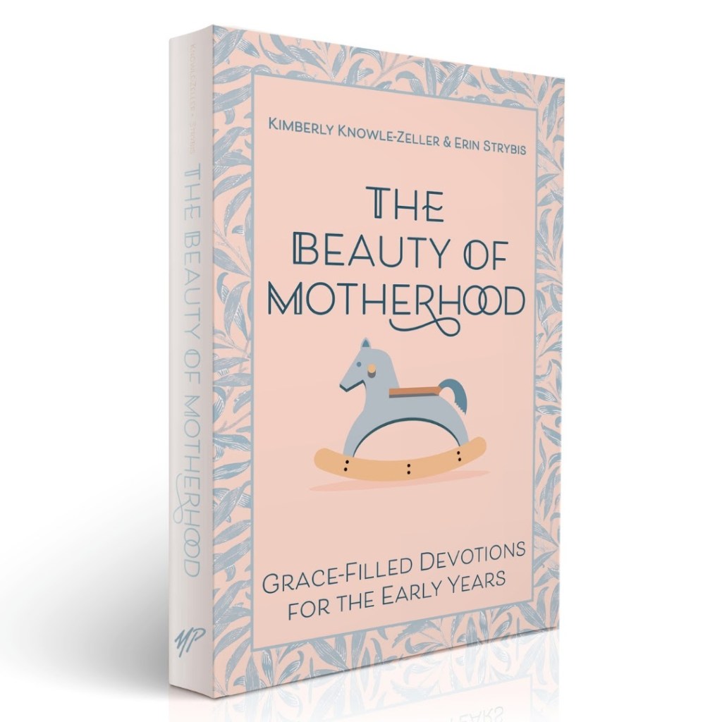 The Beauty of Motherhood book cover